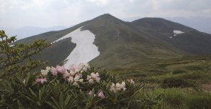 仙ノ倉方面より平標山を望む