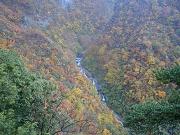 ヒツゴウ沢